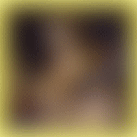 ユダヤ式バイナリーオプション ザ・ファイナル | ２４時間ほったらかしで稼ぎ出す完全自動化バイナリーオプションシステム 