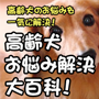 高齢犬お悩み解決大百科！高齢犬のお悩みを一気に解決！