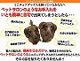 ミニチュアダックス カット　自宅で簡単お手入れDVD動画