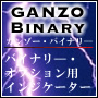 有料インジケーター「GANZO Binary」｜FXインジケーター販売、トレードツール開発のエフエックス・コンセプツ