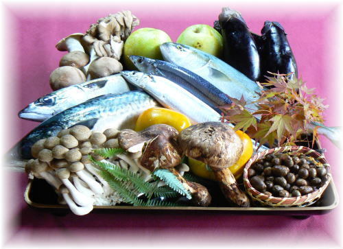 クリックすると新しいウィンドウで開きます