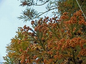 シーズン終了までは予防策が欠かせない