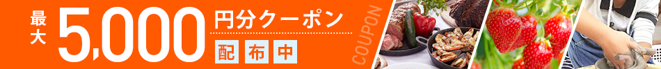 遊び・体験予約に今すぐ使える最大5,000円クーポン配布中！