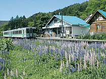 日本でただひとつ。駅舎が民宿。列車を降りて17歩で到着