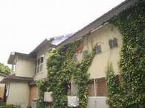 *【外観】素朴で自然なあったか宿。