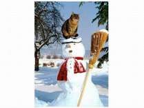 夏は雪枕が最高!