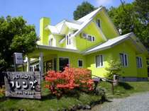 レモンイエローが鮮やかなフレンズ