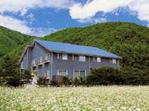 ペットと泊まれる宿のイメージ