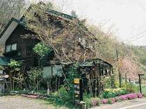 枝垂れ桜と水仙の華やかさと対象に後ろの山に溶け込むようにたたずむ母屋