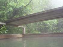 緑のシャワーと霧の朝の露天風呂