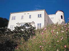 ペットと泊まれる宿のイメージ