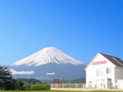 ペットと泊まれる宿のイメージ