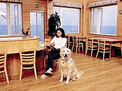 ペットと泊まれる宿のイメージ