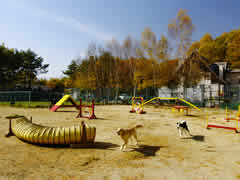 八ヶ岳ワンワンパラダイス【ペットと泊まれる宿】