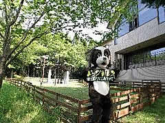 ドッグパレスリゾート阿蘇乙姫【ペットと泊まれる宿】