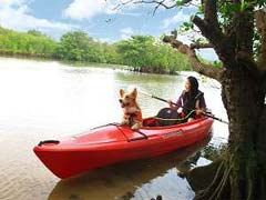 バリリゾートｉｎ石垣島【ペットと泊まれる宿】