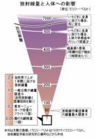 放射線量と人体への影響