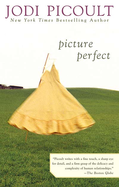 Full of Great Ideas: Picture perfect TV.