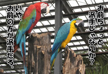 しごとたまにいきぬき