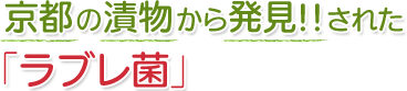 京都の漬物から発見 !! された「ラブレ菌」