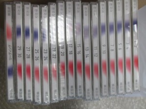 ピンズラー 韓国語