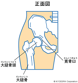 ãè¡é¢ç¯ãã®ç»åæ¤ç´¢çµæ