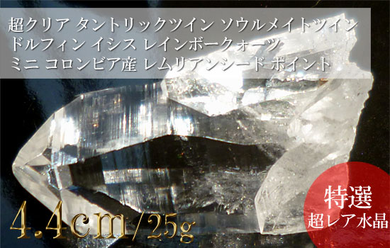 ８月２２日に仲間入りした タントリックツイン ドルフィン イシス ミニ レムリアンシード レムリアの星が贈る意思を持ったクリスタルと出会う道しるべ クリスタルと共に意識覚醒への道を歩む