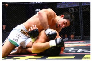 14720489_1307137025966224_4050801852942739288_n