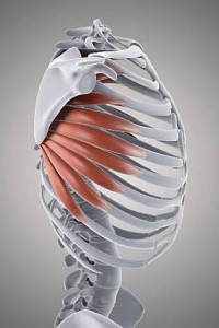 15942232_1255845751175886_1948740767_n