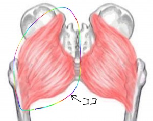 19650498_1433812373379222_486830102_o