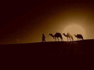 23755437_1744334235579832_2117006217786048485_n