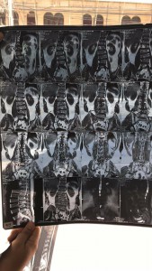 25434104_1590906524336472_146100710_o