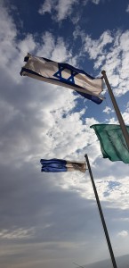 26102034_1603143496446108_623427788_o