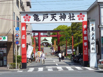 亀戸天神社藤花祭 カメラのキタムラ公式ブログ