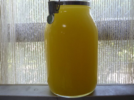 リモンチェッロ作り(原因は果汁)