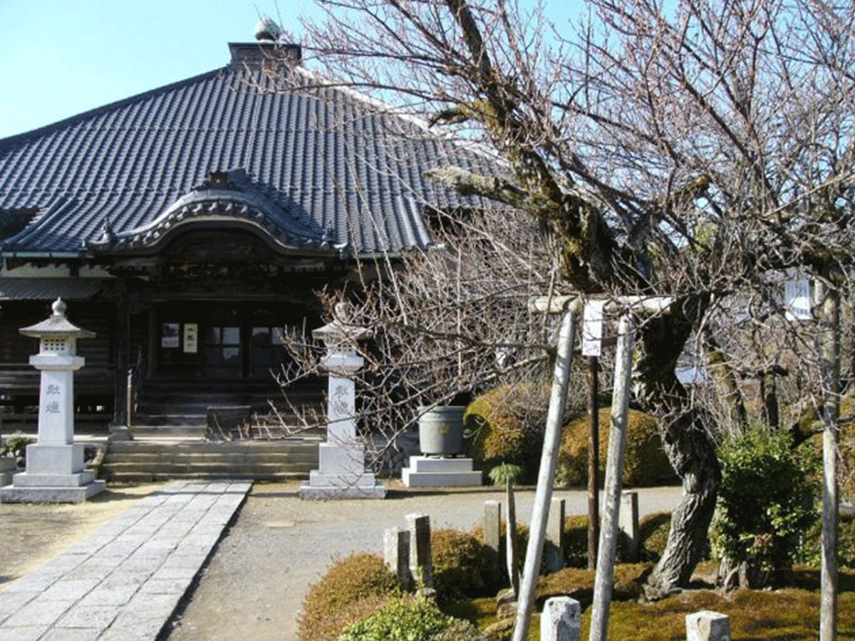 金剛寺