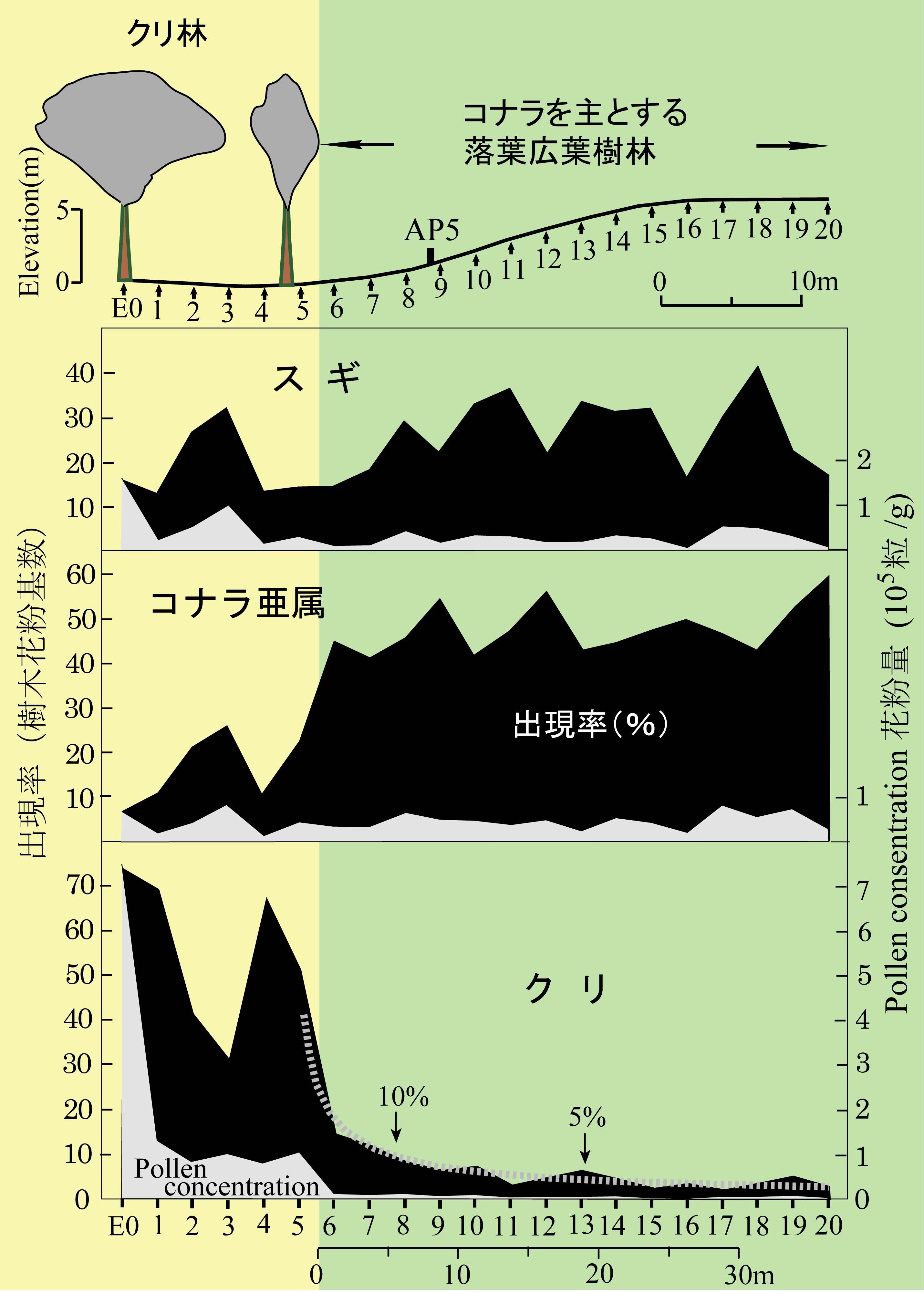 雨栗日柿 日常ボヤキ