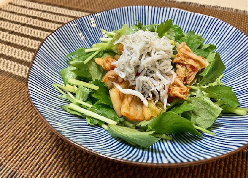 今日のキムチ料理レシピ：しらすと三つ葉のキムチサラダ