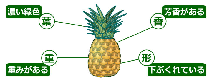 見分け方