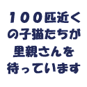 NPO法人犬と猫のためのライフボート～手を伸ばせば救えるいのちがある～
