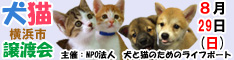 8月29日日曜日に横浜市で犬と猫の譲渡会開催