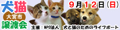 9月12日日曜日に大宮市で犬と猫の譲渡会開催