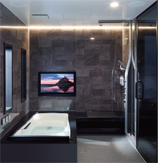 BADW-1620LAPZ+H(C)RL