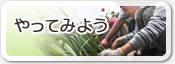 やってみよう
