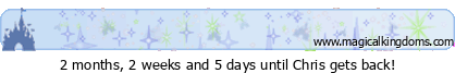 magicalkingdoms.com Ticker
