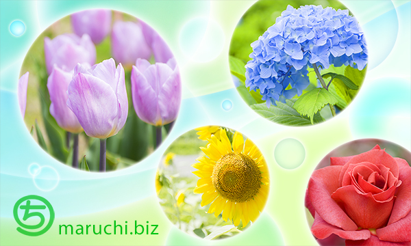 写真・デザイン・イメージ制作まるちimage