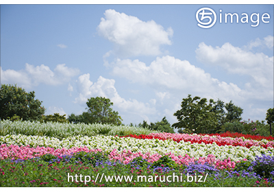 まるちimage ＋ 美術館の横削除完了