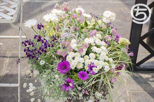 見附イングリッシュガーデン2018年五月