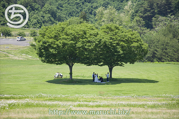 写真・デザイン・イメージ制作＋まるちimage