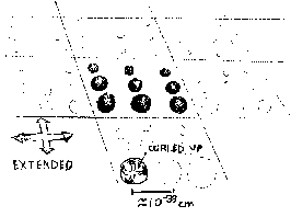 Hyperspace - Wikipedia, the free.